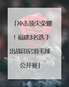 冲击顶尖荣耀！福建3名选手出战印尼羽毛球公开赛