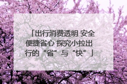 出行消费透明 安全便捷省心 探究小拉出行的“省”与“快”