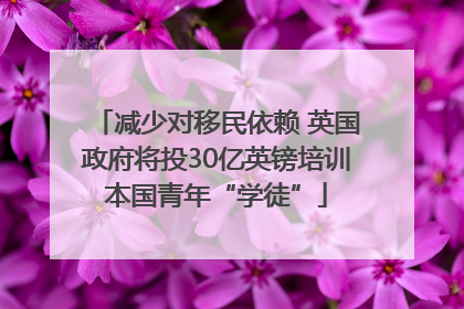 减少对移民依赖 英国政府将投30亿英镑培训本国青年“学徒”