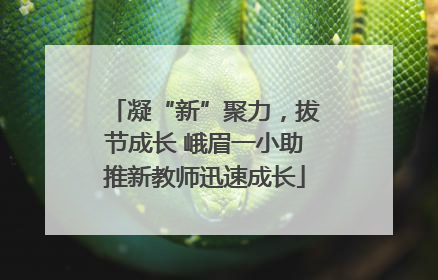凝“新”聚力，拔节成长 峨眉一小助推新教师迅速成长