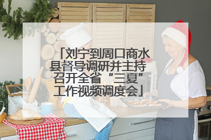 刘宁到周口商水县督导调研并主持召开全省“三夏”工作视频调度会