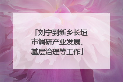 刘宁到新乡长垣市调研产业发展、基层治理等工作