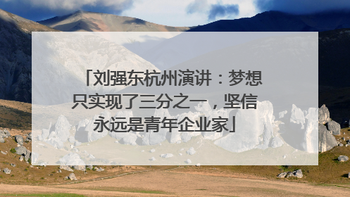 刘强东杭州演讲：梦想只实现了三分之一，坚信永远是青年企业家