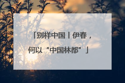 别样中国丨伊春，何以“中国林都”