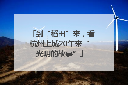 到“稻田”来，看杭州上城20年来“光阴的故事”