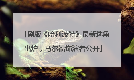 剧版《哈利波特》最新选角出炉，马尔福饰演者公开
