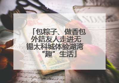 包粽子、做香包 外籍友人走进无锡太科城体验湖湾“趣”生活