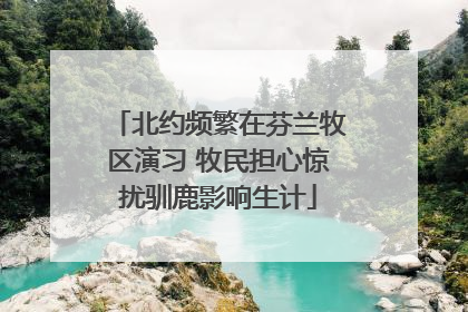 北约频繁在芬兰牧区演习 牧民担心惊扰驯鹿影响生计