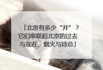 北京有多少“井”？它们串联起北京的过去与现在、烟火与诗意