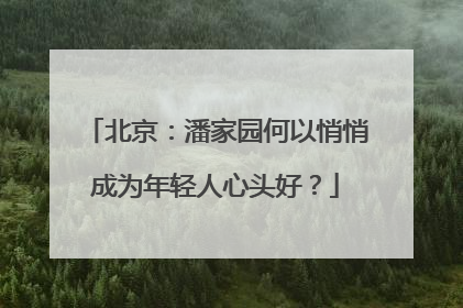 北京：潘家园何以悄悄成为年轻人心头好？