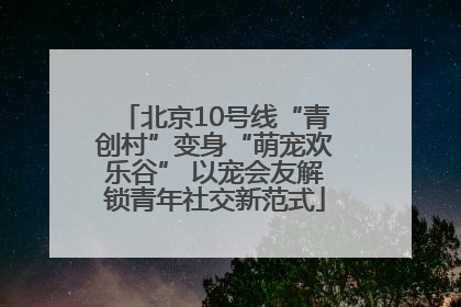 北京10号线“青创村”变身“萌宠欢乐谷” 以宠会友解锁青年社交新范式
