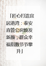匠心打造宜居港湾：泰安直管公房焕发新颜，群众幸福指数节节攀升