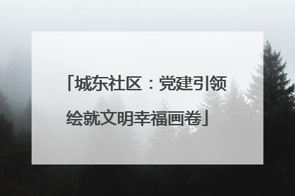 城东社区：党建引领绘就文明幸福画卷