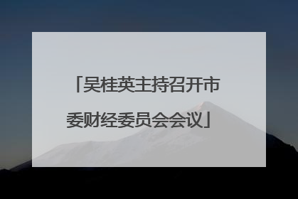 吴桂英主持召开市委财经委员会会议