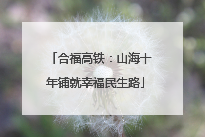 合福高铁：山海十年铺就幸福民生路