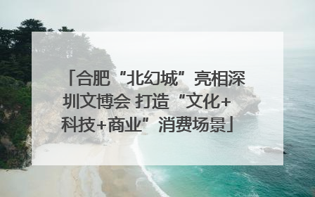 合肥“北幻城”亮相深圳文博会 打造“文化+科技+商业”消费场景
