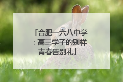 合肥一六八中学：高三学子的别样青春告别礼