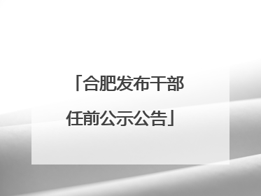 合肥发布干部任前公示公告