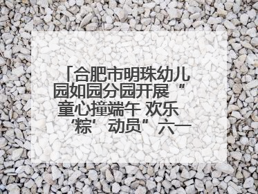 合肥市明珠幼儿园如园分园开展“童心撞端午 欢乐‘粽’动员”六一系列活动