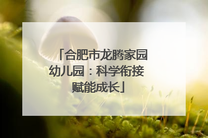 合肥市龙腾家园幼儿园：科学衔接 赋能成长