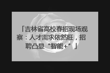 吉林省高校春招现场观察：人才需求依然旺，招聘凸显“智能+”