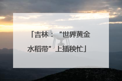 吉林：“世界黄金水稻带”上插秧忙