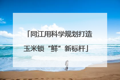 同江用科学规划打造玉米锁“鲜”新标杆