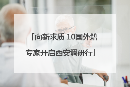 向新求质 10国外籍专家开启西安调研行