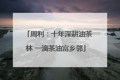 周利：十年深耕油茶林 一滴茶油富乡邻