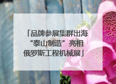 品牌参展集群出海 “泰山制造”亮相俄罗斯工程机械展