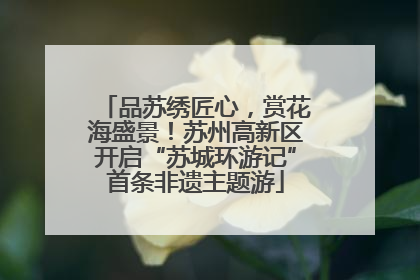 品苏绣匠心，赏花海盛景！苏州高新区开启“苏城环游记”首条非遗主题游