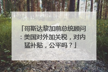 哥斯达黎加前总统顾问：美国对外加关税，对内猛补贴，公平吗？