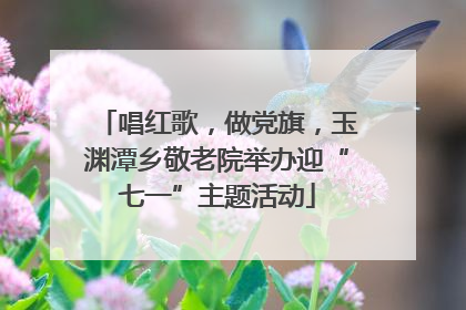 唱红歌，做党旗，玉渊潭乡敬老院举办迎“七一”主题活动