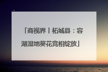 商视界丨柘城县：容湖湿地葵花竞相绽放