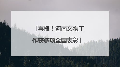 喜报！河南文物工作获多项全国表彰