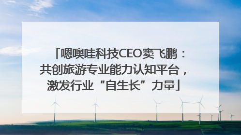 嗯噢哇科技CEO窦飞鹏：共创旅游专业能力认知平台，激发行业“自生长”力量