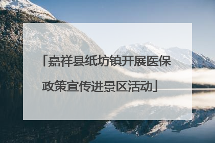 嘉祥县纸坊镇开展医保政策宣传进景区活动