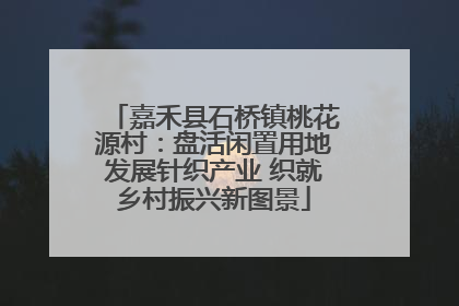 嘉禾县石桥镇桃花源村：盘活闲置用地发展针织产业 织就乡村振兴新图景