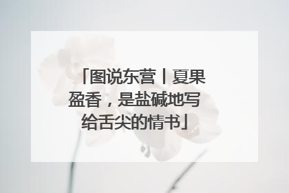 图说东营丨夏果盈香，是盐碱地写给舌尖的情书
