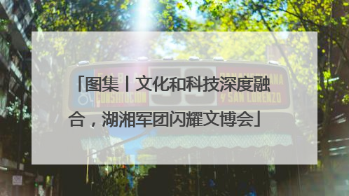图集丨文化和科技深度融合，湖湘军团闪耀文博会
