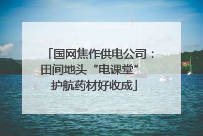 国网焦作供电公司：田间地头“电课堂” 护航药材好收成
