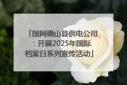 国网确山县供电公司：开展2025年国际档案日系列宣传活动