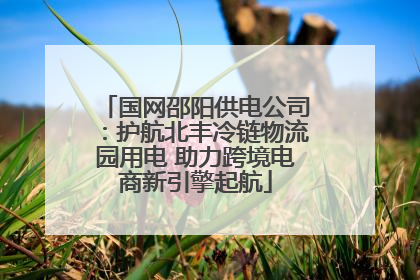 国网邵阳供电公司：护航北丰冷链物流园用电 助力跨境电商新引擎起航