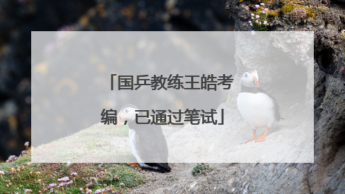 国乒教练王皓考编，已通过笔试