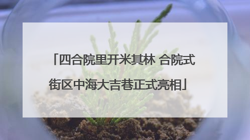 四合院里开米其林 合院式街区中海大吉巷正式亮相