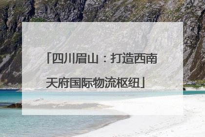 四川眉山：打造西南天府国际物流枢纽