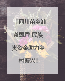 四川苗乡油茶飘香 民族类资金助力乡村振兴