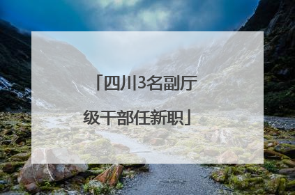四川3名副厅级干部任新职