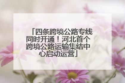 四条跨境公路专线同时开通！河北首个跨境公路运输集结中心启动运营
