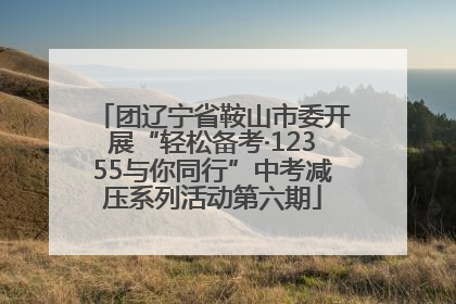 团辽宁省鞍山市委开展“轻松备考·12355与你同行”中考减压系列活动第六期